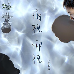 阿猫阿狗封面