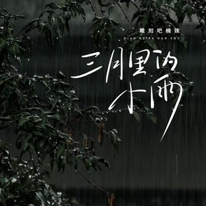 三月里的小雨 (DJ版)