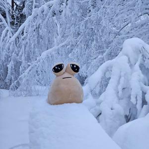 Solitude (feat. Naunau) (Explicit)