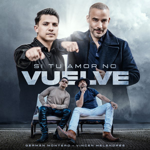 Si Tu Amor No Vuelve
