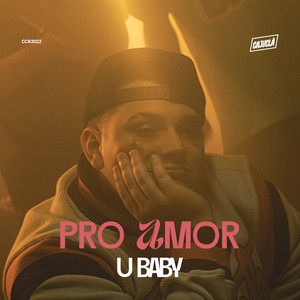 Pro Amor (feat. Caju Clã) (Explicit)