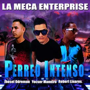 Perreo Intenso (feat. Robert L.M.C & Jhosel Odreman) (Explicit)