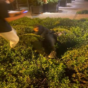 pablowo - pull up (Explicit)