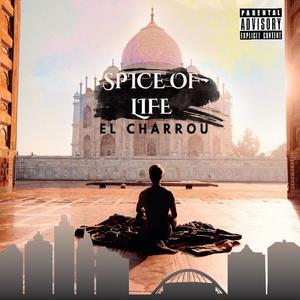 Spice of Life (Explicit)