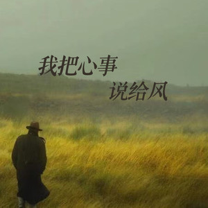 我把心事说给风-卡带森林