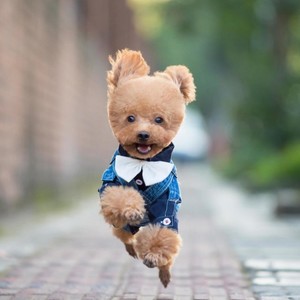 行路难