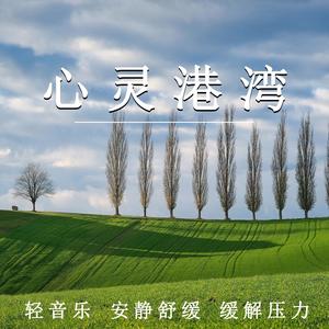 轻松治愈 - 心灵港湾