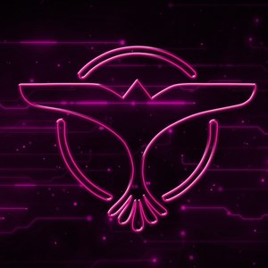 超好听旋律Dj抖音版