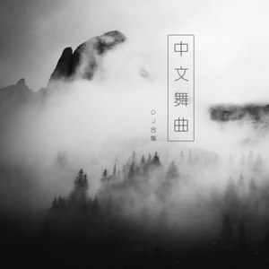 寂寞沙洲冷 (DJ版)