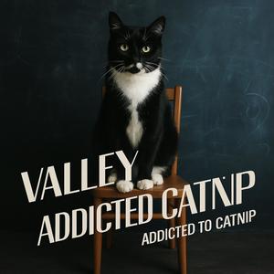 Addicted to Catnip
