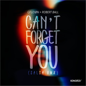 Can't Forget You (Salsa Rmx)