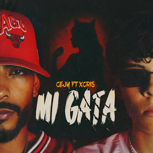 Mi Gata (Explicit)