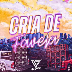 Cria de Favela