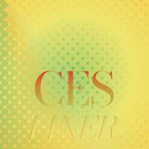 Ces Liner