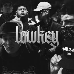 Lowkey (feat. Under Side 821) [Explicit]