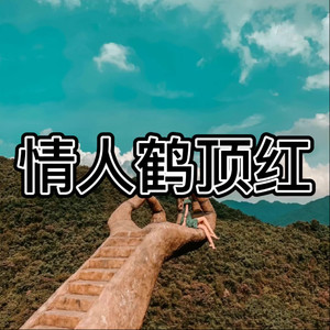 阿乐 - 认真的雪 (通俗版)