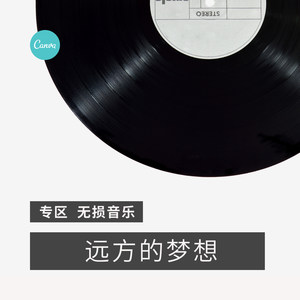 远方的梦想（DJ）