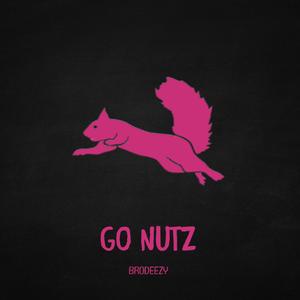 Go Nutz(Flying Squirrel Anthem)