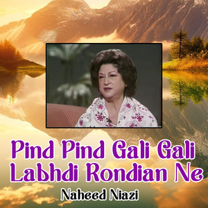 Pind Pind Gali Gali Labhdi Rondian Ne