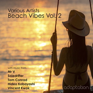 What You Want [feat. Denzie] (Gruv Basement Blue Heat Mix)