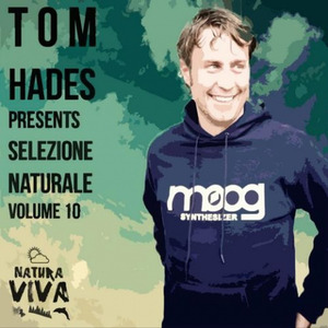 Reversion (Original Mix)