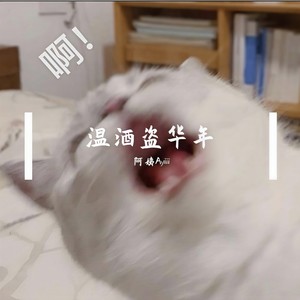 温酒盗华年 - 阿姨Ayiii封面