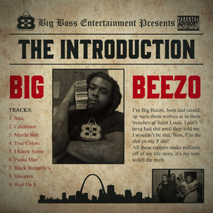 The Introduction (Explicit)