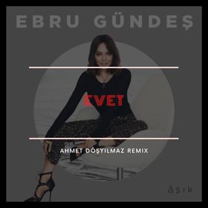 Evet(feat. Ebru Gündeş) (Remix)
