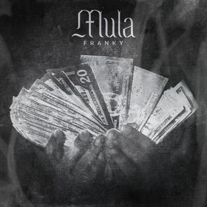 Mula