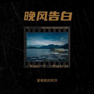 晚风告白封面