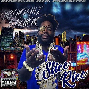 SLICC RICC (Explicit)