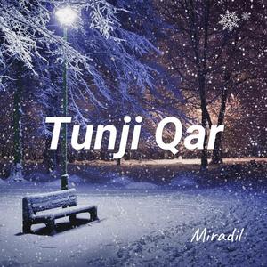 Miradil_小木 - Tunji kar《初雪》