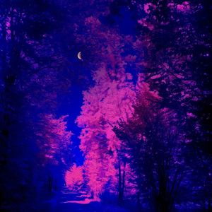 遇到难回答的问题就不回答了