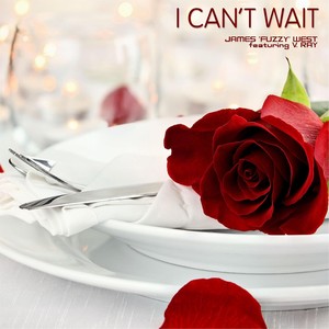 I Can't Wait(feat. V. Ray)