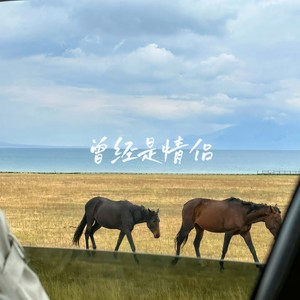 曾经是情侣（1.3x）