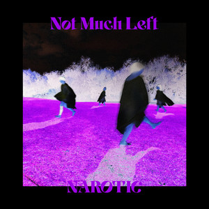 Not much left RMX