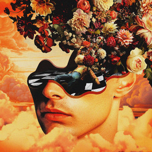 Hallucinations (Explicit)