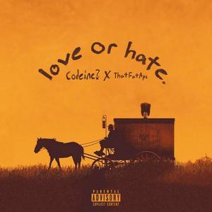 Love or Hate (Explicit)