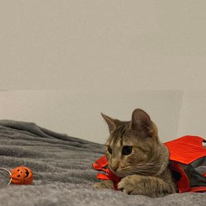 Some Other Way (Explicit)