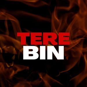 Tere bin