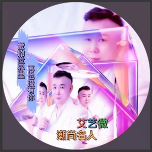 爱的世界里再也没有你