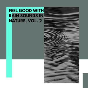 Comforting Light Rain