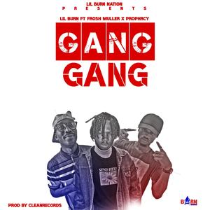 Gang Gang (feat. Frosh muller & Prophecy VGL)