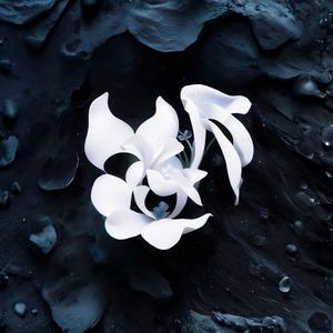 Andrew Barock - Magic Box