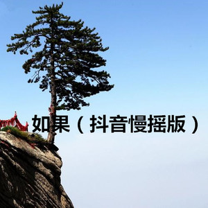 圣诞节