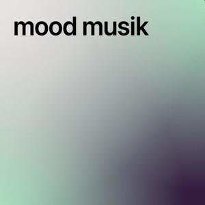 no love (feat. millyi) (Explicit)