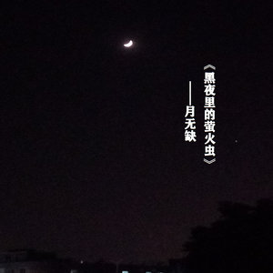 黑夜里的萤火虫 (慢节奏版)