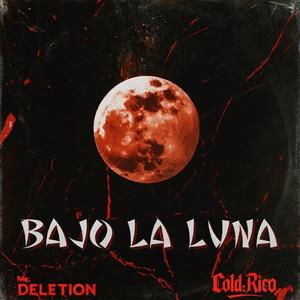 Bajo La Luna (Mr.Deletion Remix)