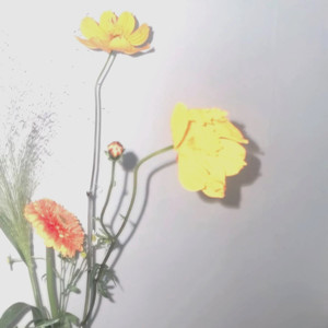 낙원 (Paradise) (乐园)