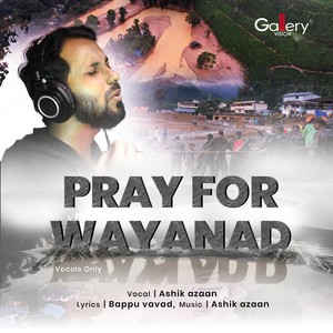 Pray for Wayanad